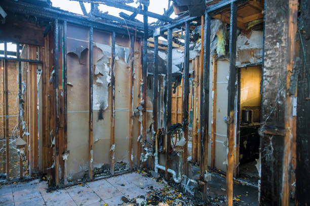 Professional Fire Damage Removal technician working in Caledonia, MS